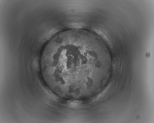 X0000094440359200711151410