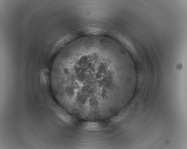 X0000094440361200711151410