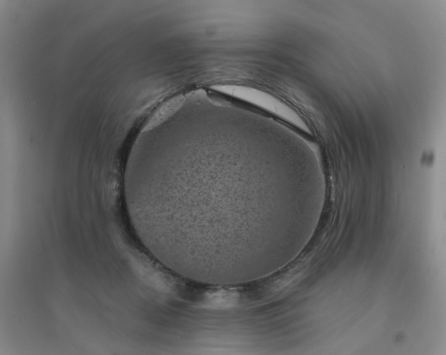X0000094440362200711151410