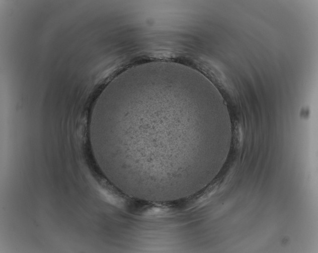 X0000094440364200711151410