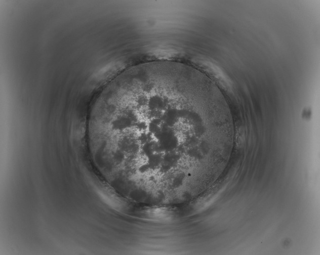 X0000094440365200711151410