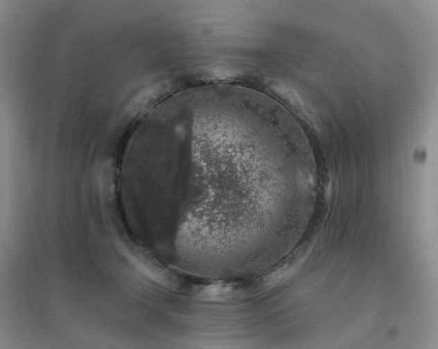 X0000094440366200711151410