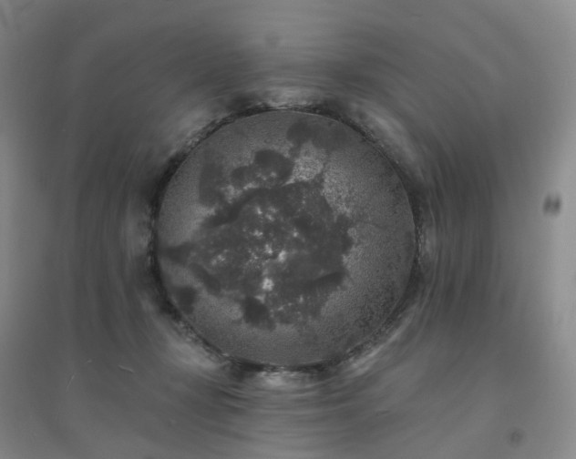 X0000094440367200711151410
