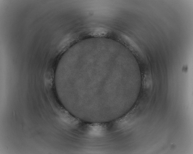 X0000094440370200711151410