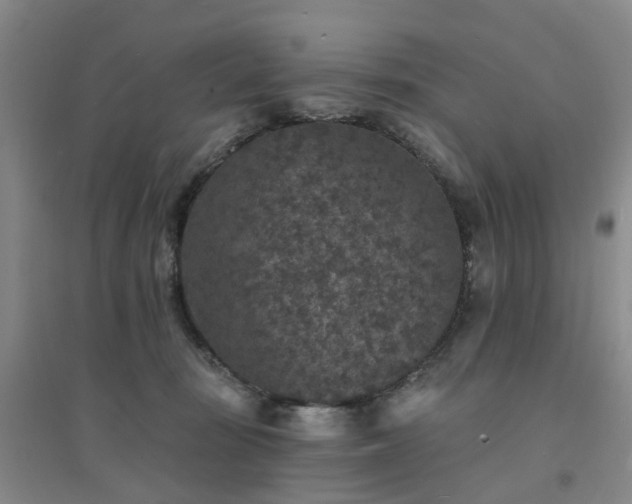 X0000094440371200711151410