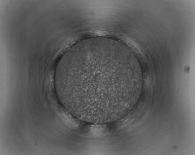 X0000094440373200711151410