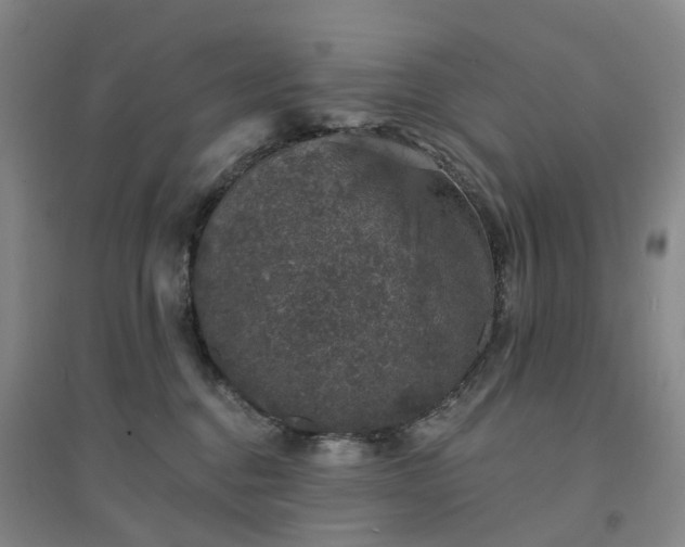 X0000094440376200711151410