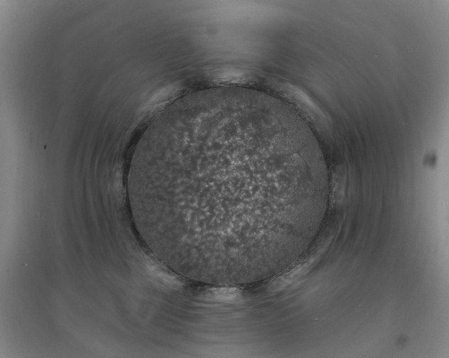 X0000094440377200711151410