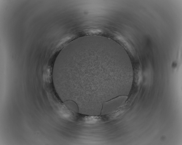 X0000094440378200711151410