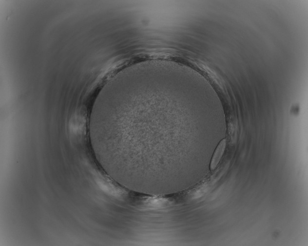 X0000094440379200711151410