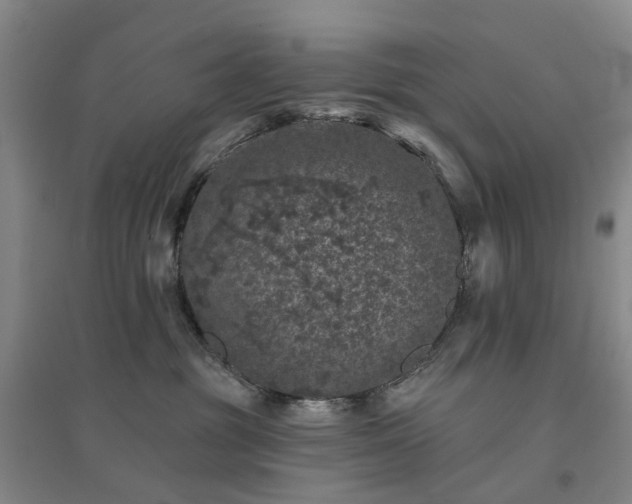 X0000094440381200711151410