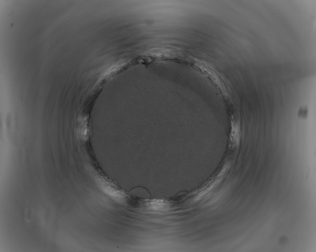 X0000094440383200711151410