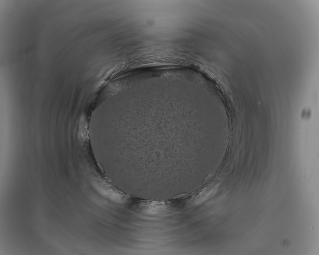 X0000094440384200711151410