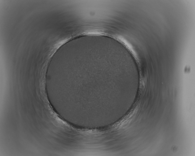 X0000094440385200711151410