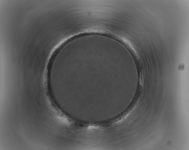 X0000094440388200711151410