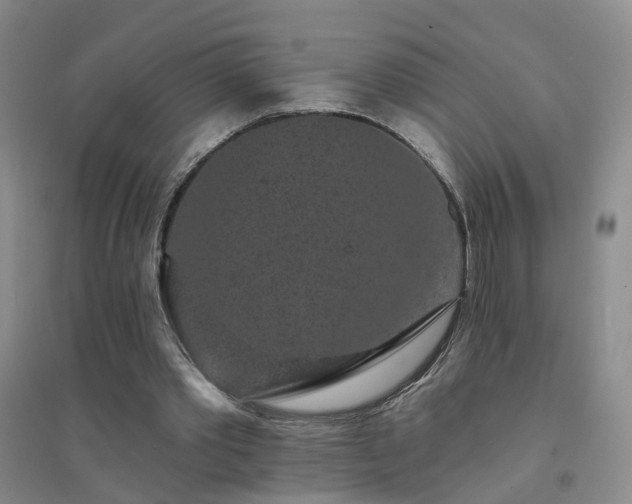 X0000094440389200711151410