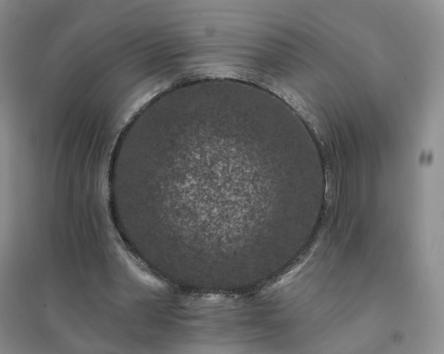 X0000094440390200711151410