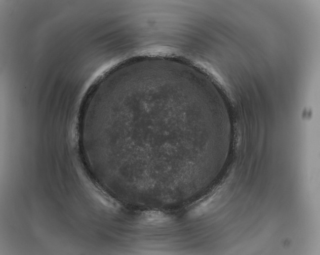 X0000094440392200711151410