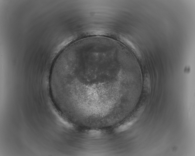 X0000094440394200711151410