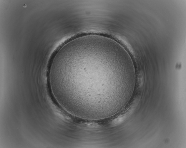 X0000094440395200711151409