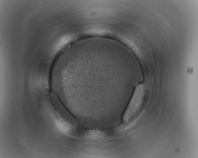 X0000094440399200711151409
