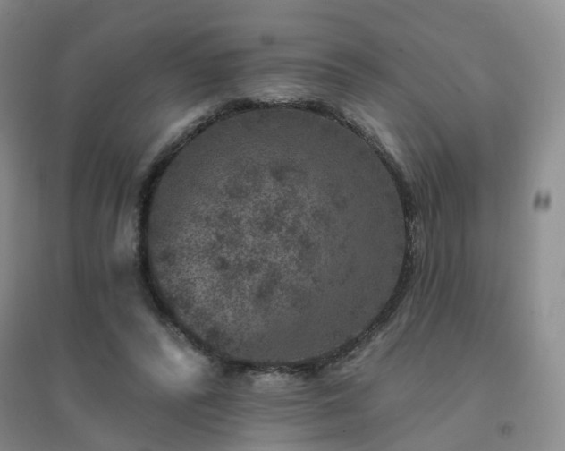 X0000094440400200711151409