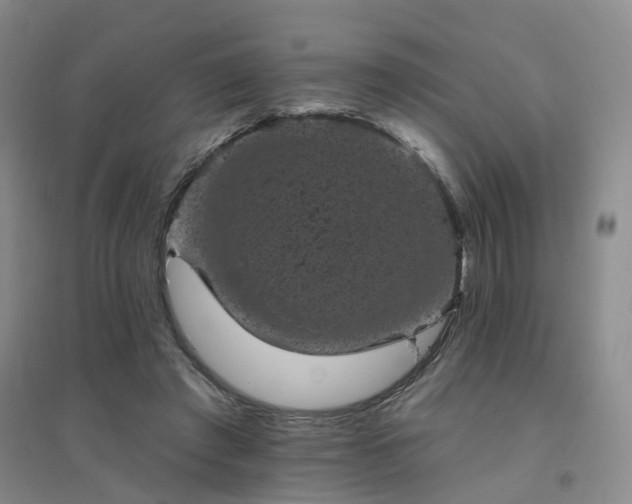 X0000094440401200711151409
