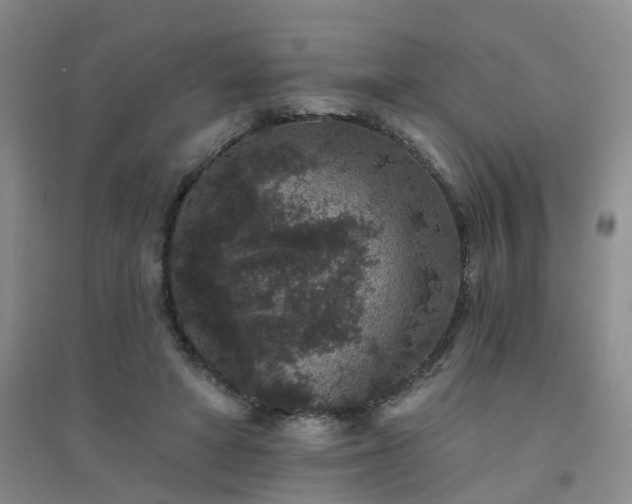 X0000094440402200711151409