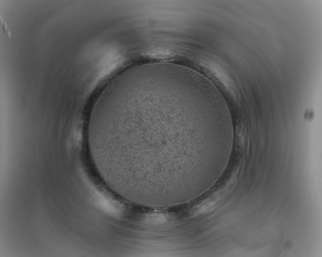 X0000094440404200711151409