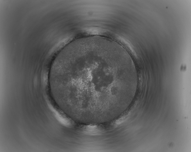 X0000094440406200711151409