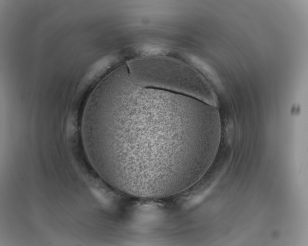 X0000094440407200711151409