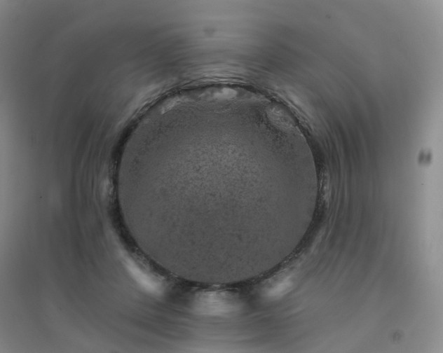 X0000094440408200711151409