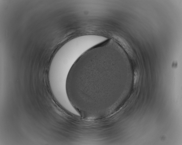 X0000094440409200711151409
