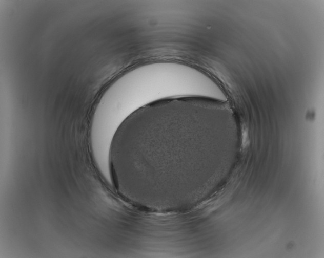 X0000094440411200711151409