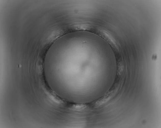X0000094440414200711151409
