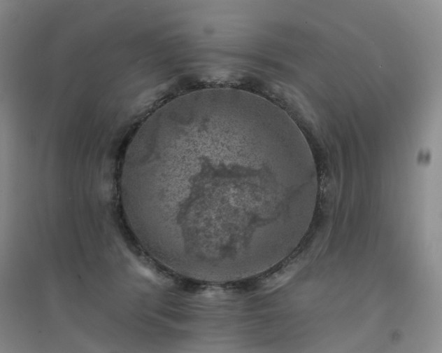 X0000094440416200711151409