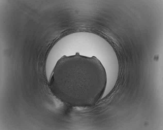 X0000094440417200711151409