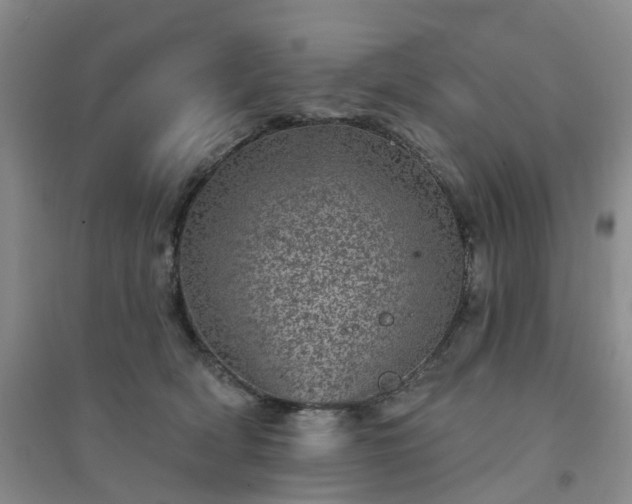 X0000094440418200711151409