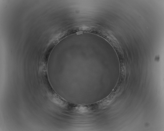 X0000094440419200711151409