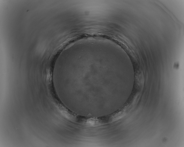 X0000094440420200711151409