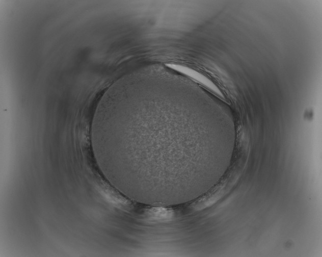 X0000094440421200711151409