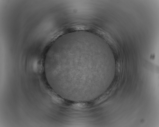 X0000094440422200711151409