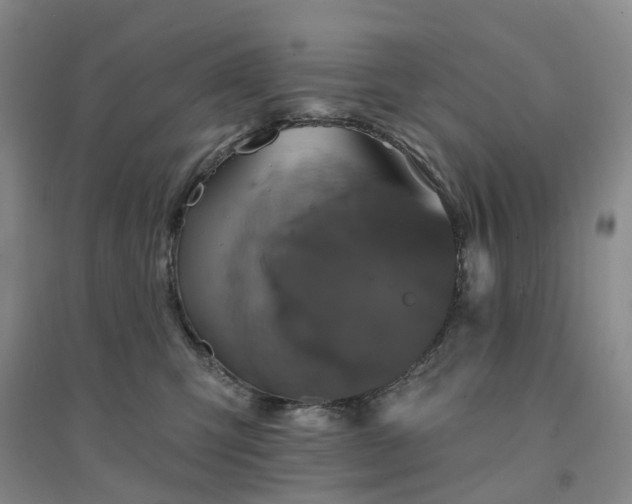 X0000094440423200711151409