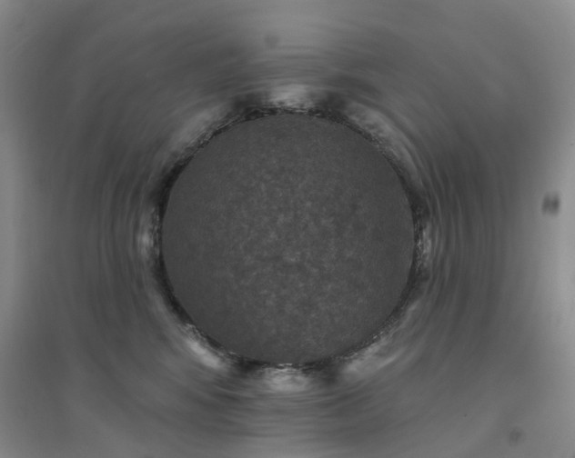 X0000094440424200711151409