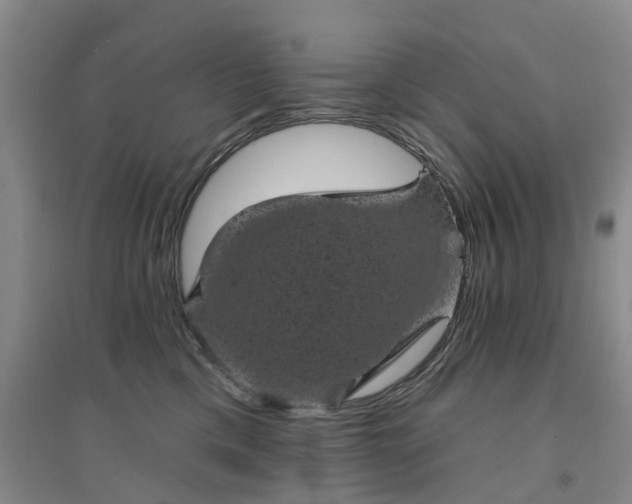 X0000094440425200711151409