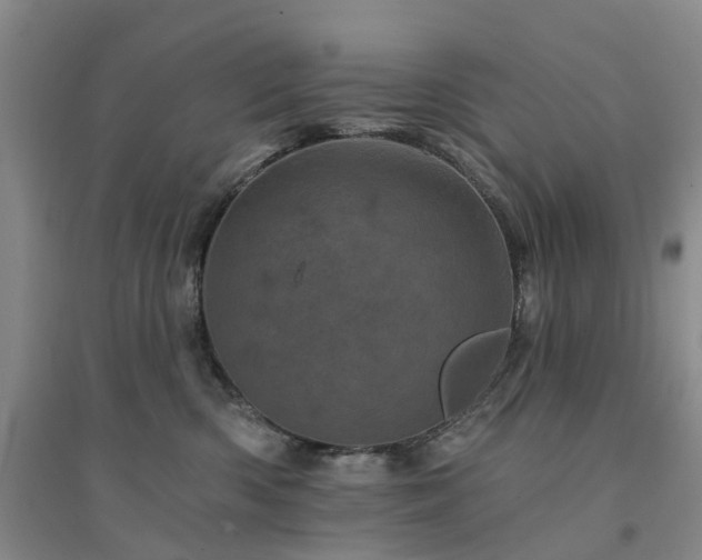 X0000094440426200711151409