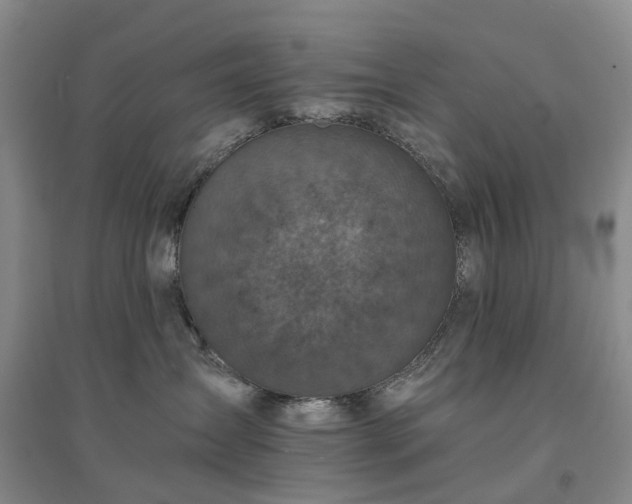 X0000094440431200711151409