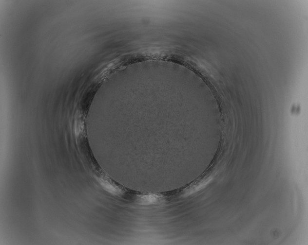 X0000094440432200711151409