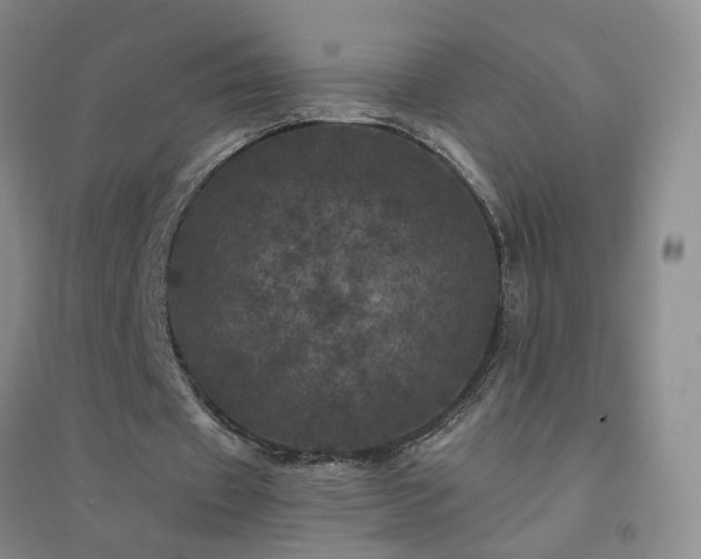 X0000094440433200711151408