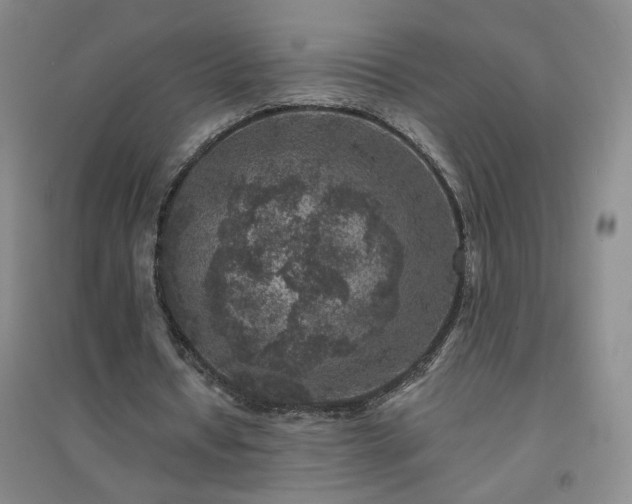 X0000094440434200711151408